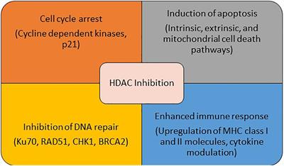 Histone Deacetylase Inhibition in Non-small Cell Lung Cancer: Hype or Hope?